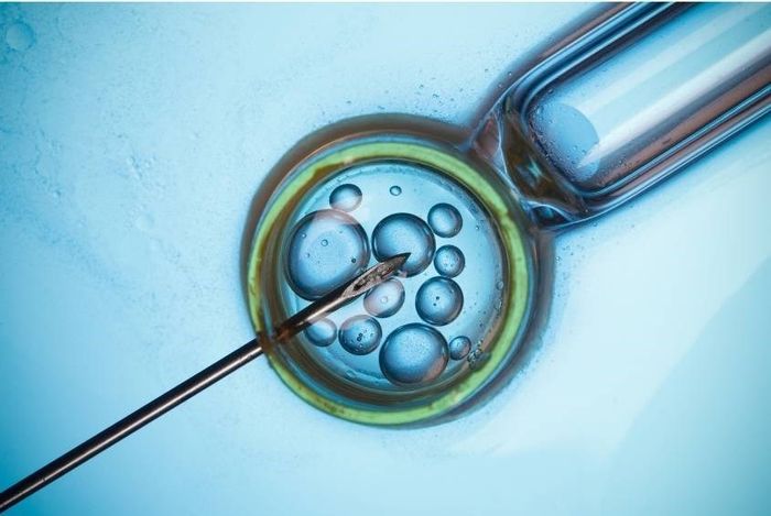 Cách tính tuổi thai IVF