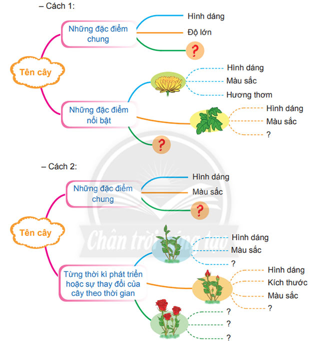 Tìm ý cho bài văn miêu tả cây cỏ