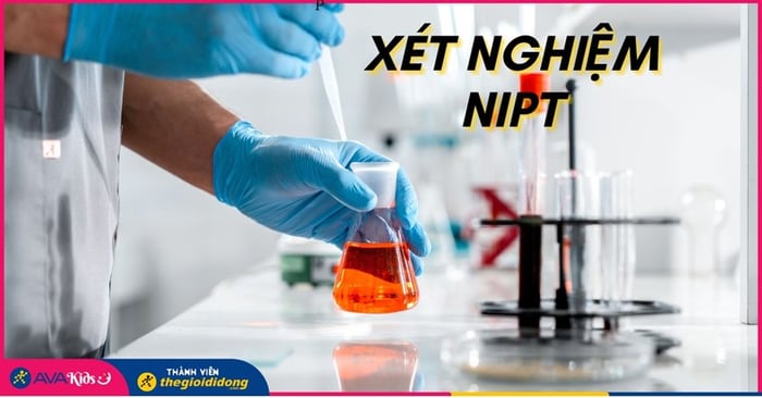 Xét nghiệm NIPT giúp phát hiện các bất thường về nhiễm sắc thể. Hình ảnh từ Pexels