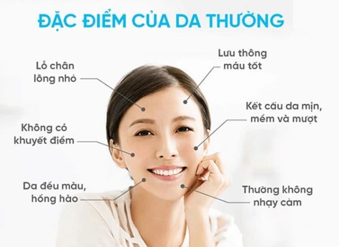 Tính chất của da thường