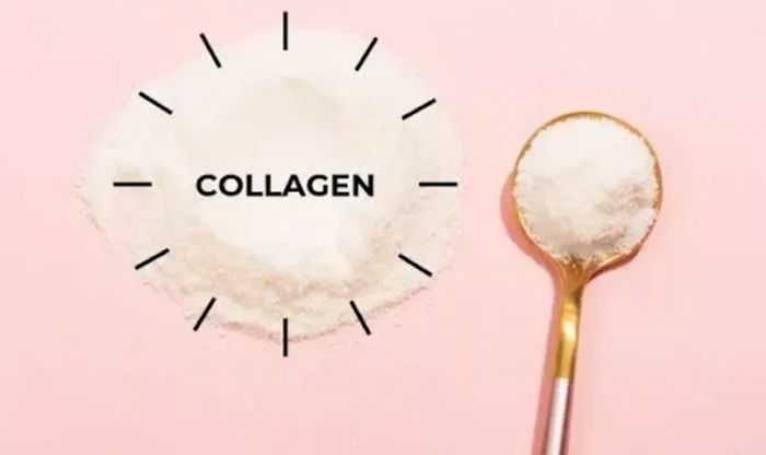 Collagen dạng bột