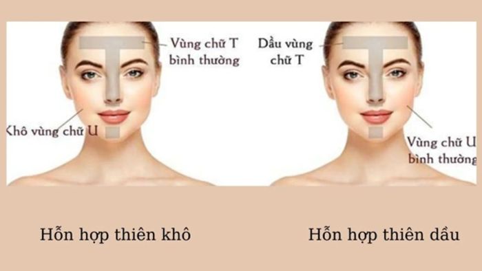 Phân biệt da hỗn hợp thiên dầu và thiên khô