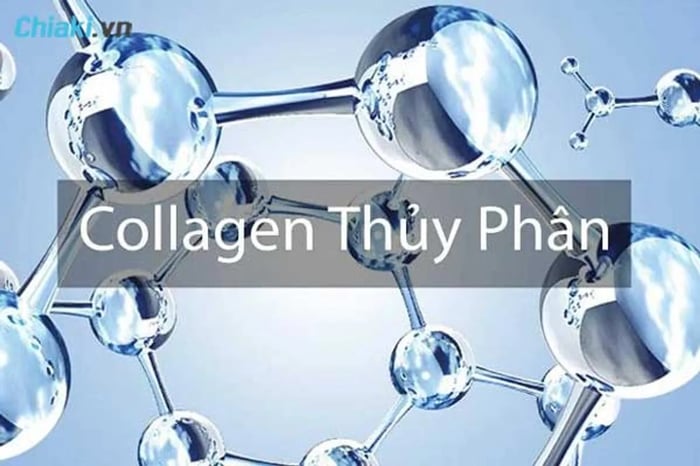 Collagen Thủy Phân là gì?