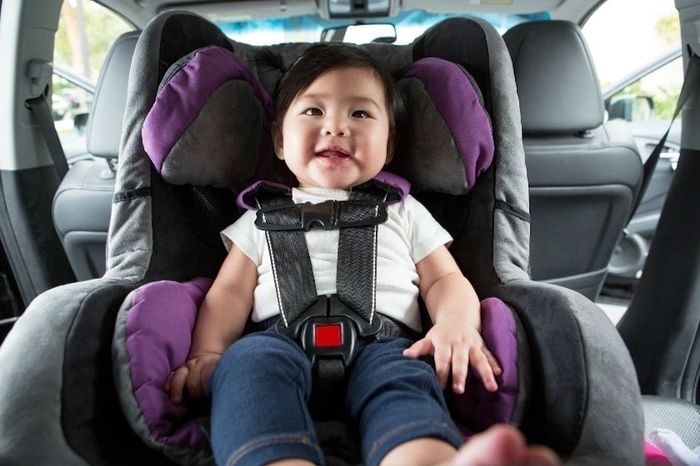 Cha mẹ có thể dắt con đi dạo trên xe hoặc trên xe buýt khám phá vùng quanh nơi bạn sống. Nguồn ảnh: baby gooroo