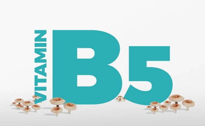 Vitamin B5 trong chăm sóc da