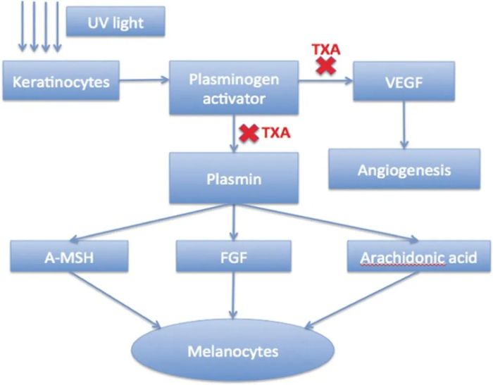 Cơ chế hoạt động của tranexamic acid