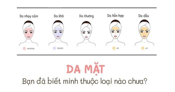 Nhận biết và phân loại da