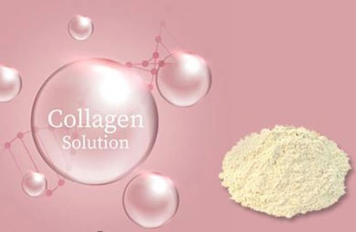 Collagen Bột Có Tốt Không?