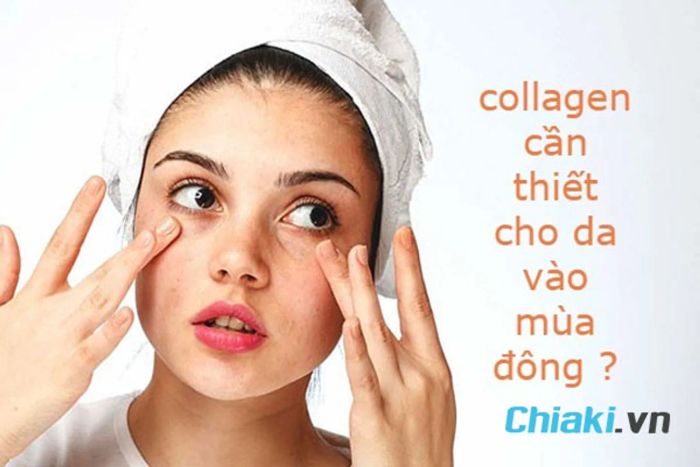 Collagen cải thiện tình trạng da khô và lão hóa.