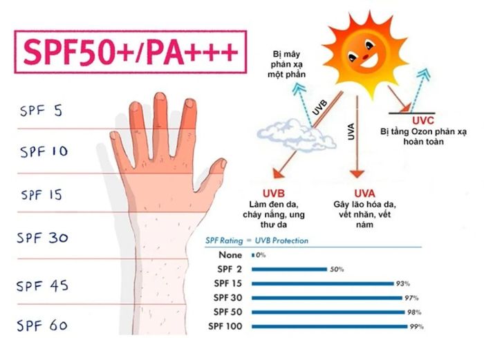 Hãy lựa chọn kem chống nắng đi biển với chỉ số SPF từ 50 đến 80