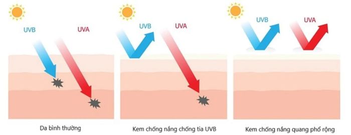 Chọn kem chống nắng phổ rộng