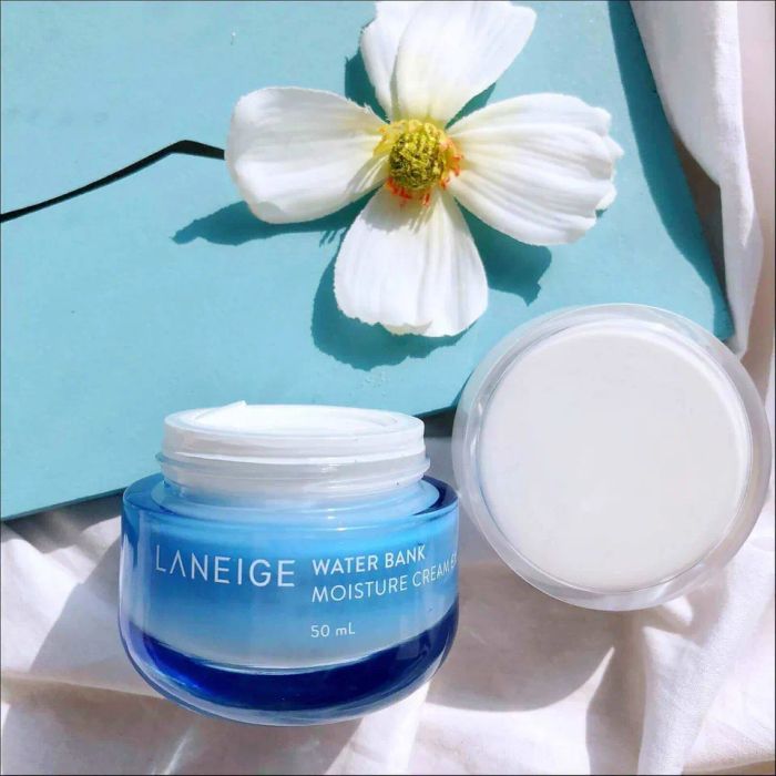 Kem Dưỡng Ẩm Laneige Moisture Cream Ex Cho Da Thường