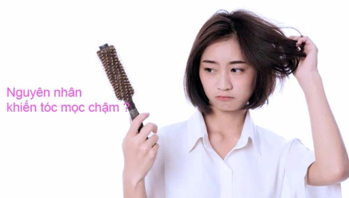 Tại sao tóc mọc chậm?