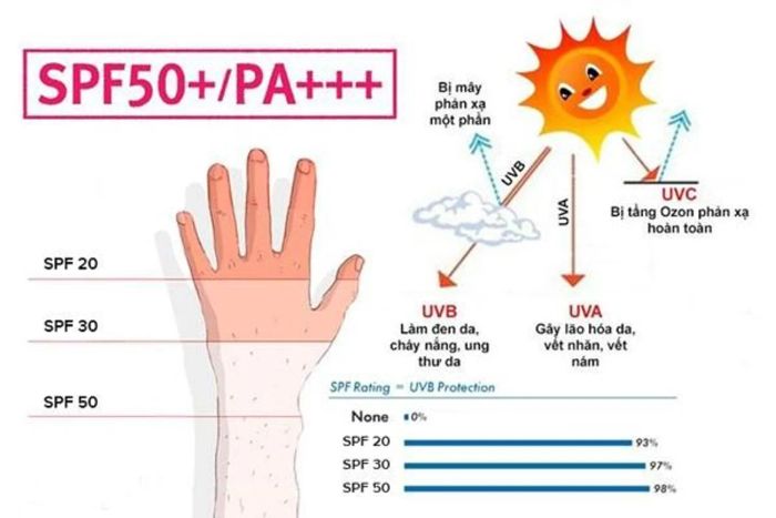 Chỉ số SPF thông báo về mức độ phần trăm ngăn chặn tia UV độc hại.