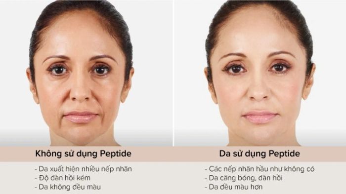 Lợi ích của mỹ phẩm chứa Peptide trong chăm sóc da