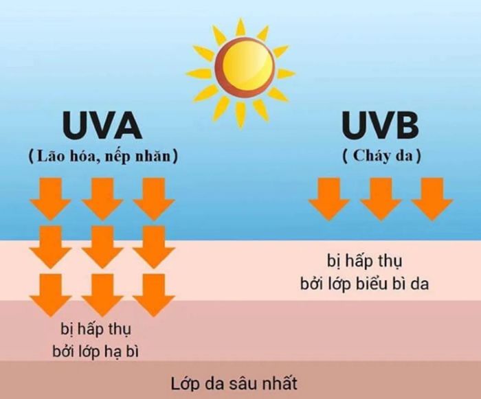 Chỉ số SPF trong kem chống nắng bảo vệ khỏi tia UVA - UVB