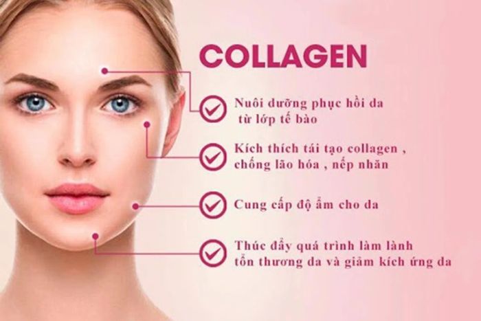 Collagen mang lại nhiều lợi ích tuyệt vời cho làn da, vẻ đẹp và sức khỏe