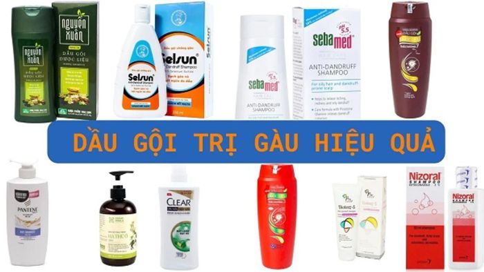 6 loại dầu gội trị nấm da đầu nào tốt? Nên chọn loại nào?