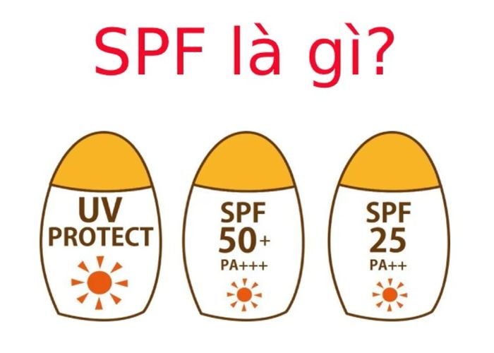 Chỉ số SPF là gì? Là chỉ số cảnh báo về vấn đề da bị ửng đỏ khi sử dụng kem chống nắng