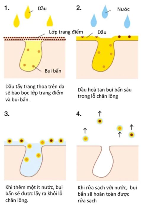 Cơ chế hoạt động của dầu tẩy trang