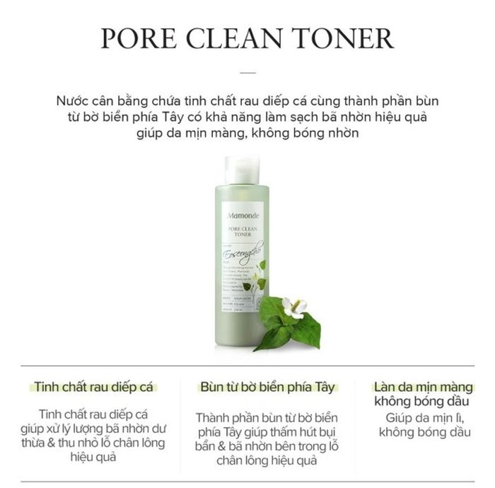 Thành phần toner Mamonde rau diếp cá