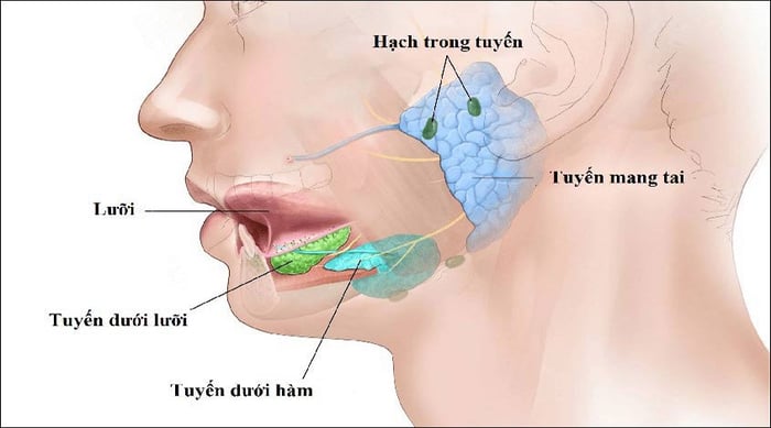 Viêm tuyến nước bọt ở trẻ em 