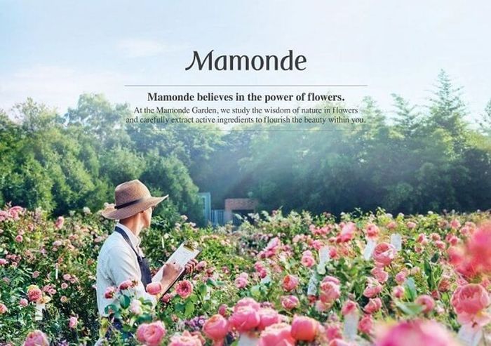 Về thương hiệu Mamonde