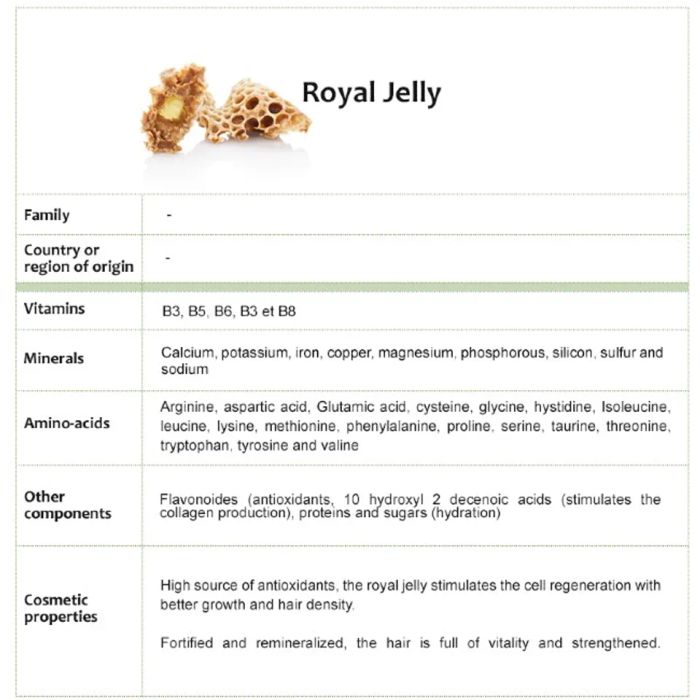 Thành phần của Royal Jelly 1000mg