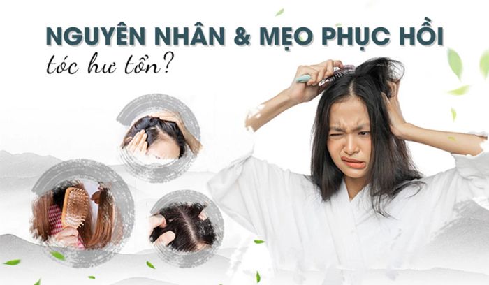 Dấu hiệu và cách nhận biết tóc hư tổn