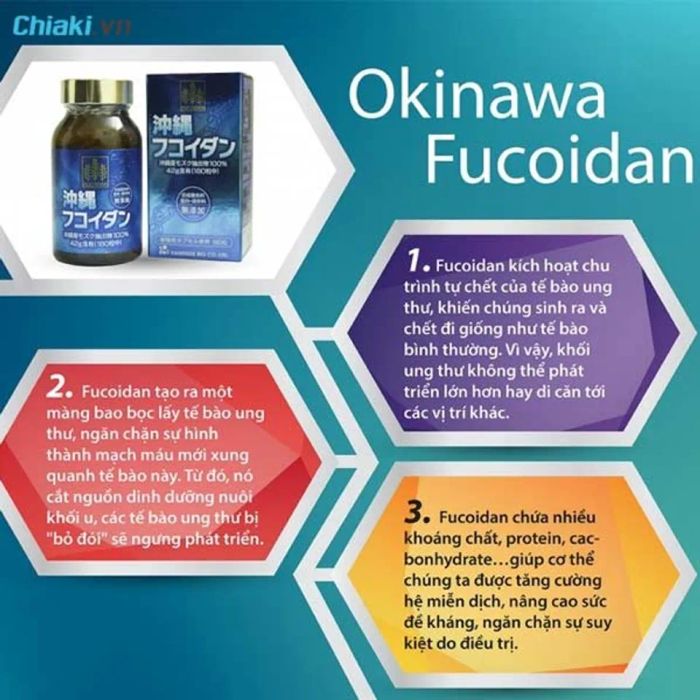 Tảo Okinawa Fucoidan hỗ trợ điều trị và phòng ngừa ung thư