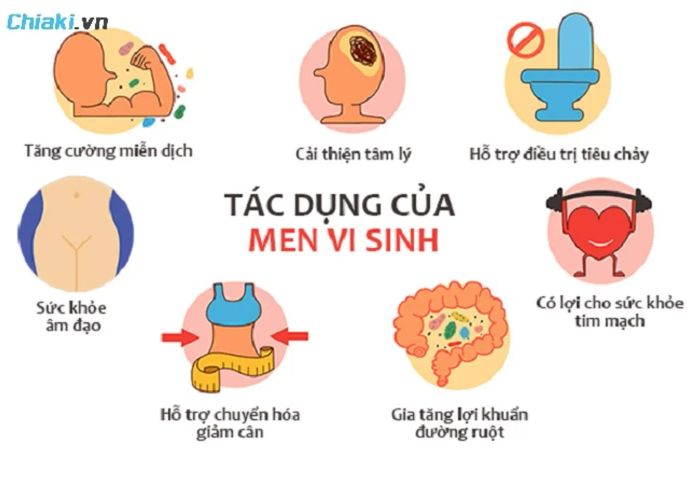 Tác dụng của men vi sinh Pháp đối với cơ thể