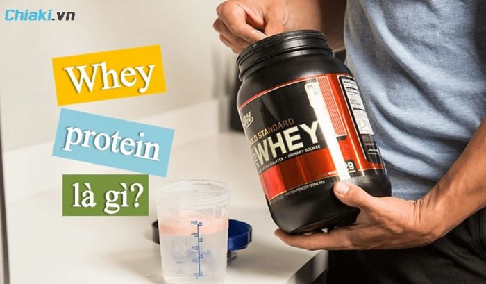 Whey Protein là một loại bột được thêm vào chế độ dinh dưỡng, có thể thay thế cho bữa ăn phụ 