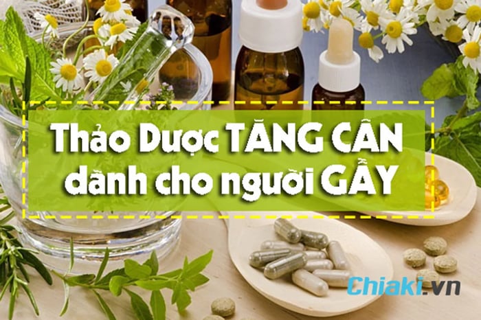 Thảo dược giúp tăng cân không gây tác dụng phụ như tích nước, tích muối