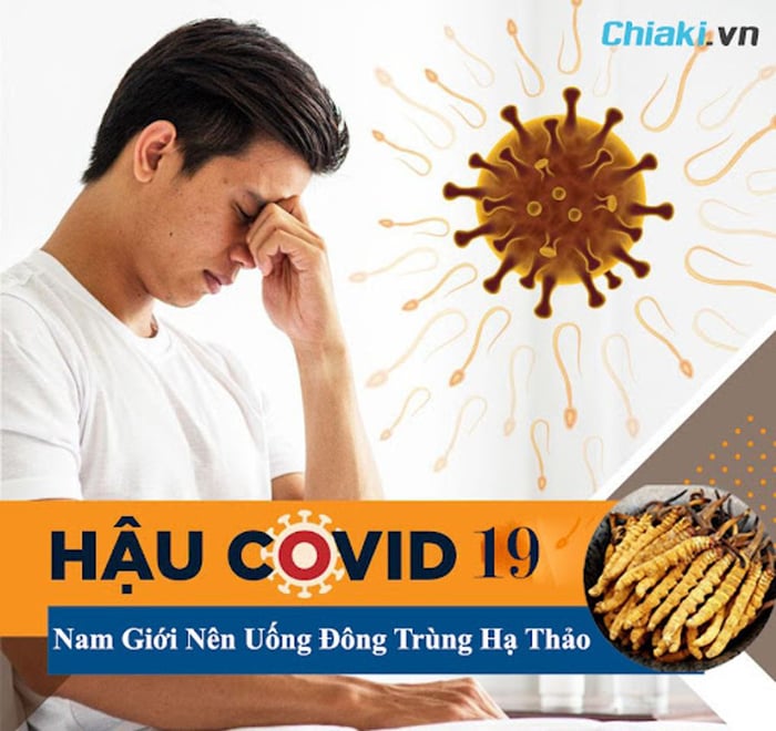 Đông trùng hạ thảo giúp cải thiện di chứng “Sau Covid 19” cho nam giới