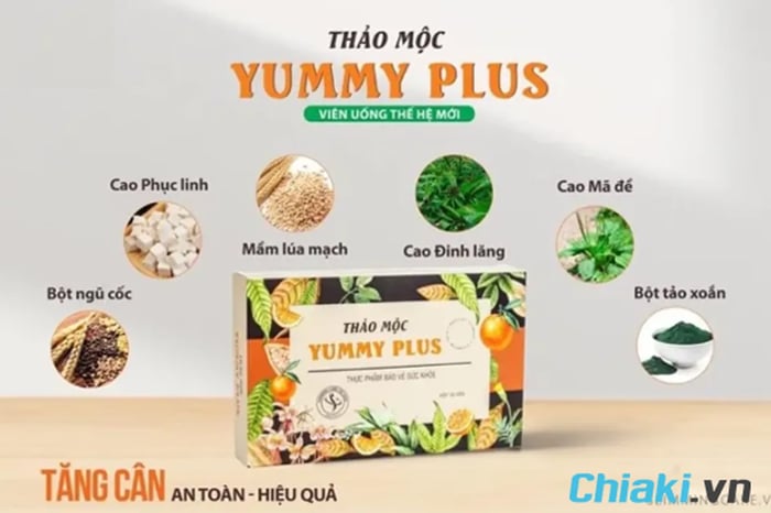 Viên uống tăng cân thảo dược Yummy Plus