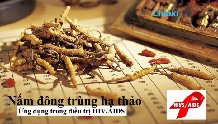 Đông trùng hạ thảo được áp dụng trong điều trị HIV/AIDS.