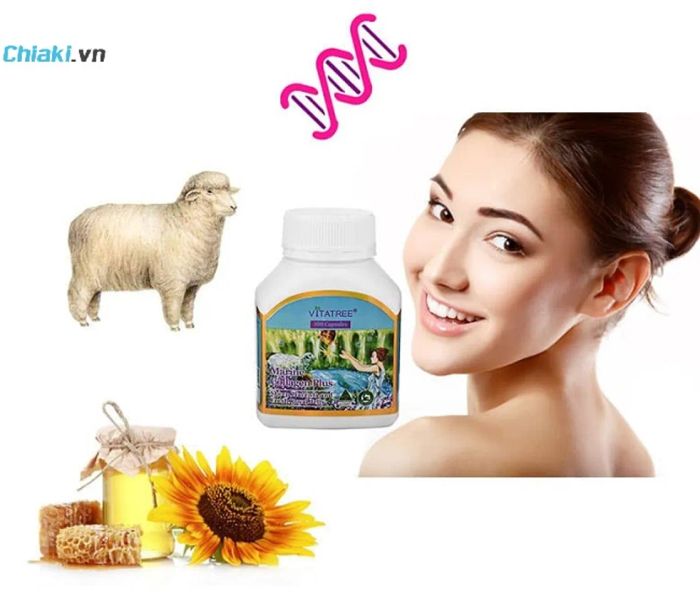 Lựa chọn sản phẩm collagen sữa ong chúa