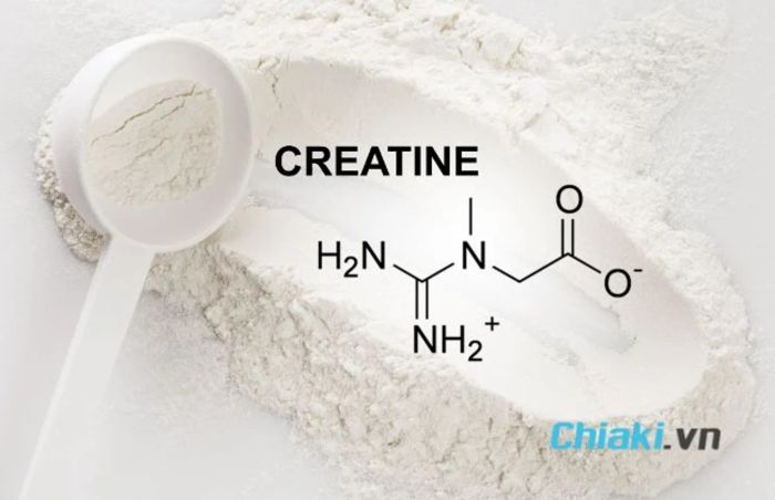 Creatine là gì