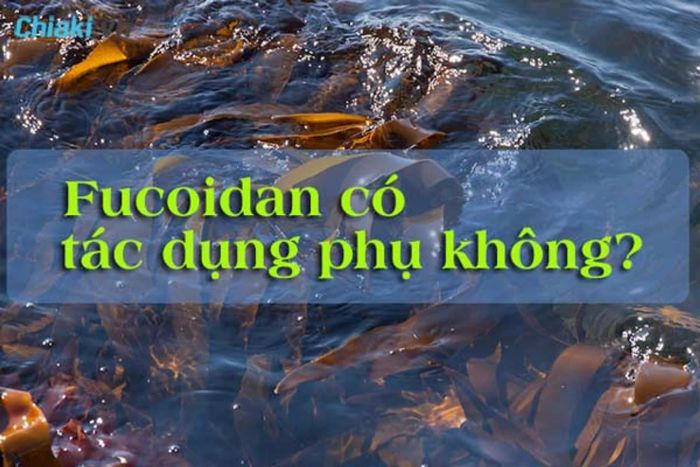 Fucoidan có tác dụng phụ không