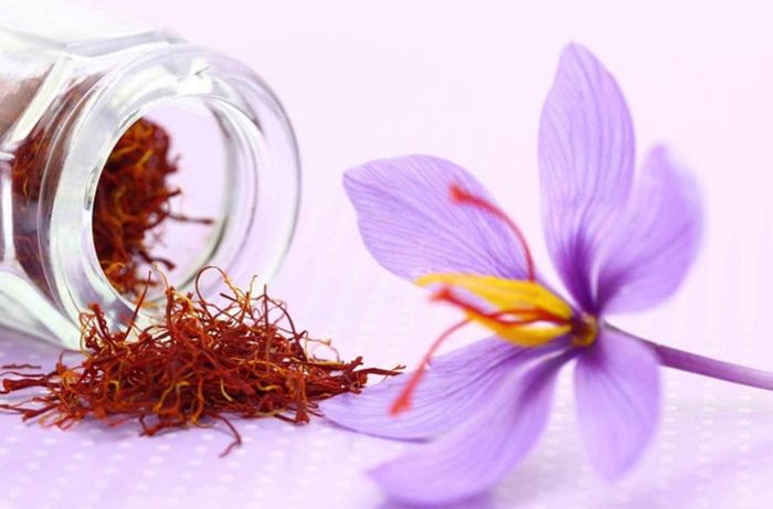 Hướng dẫn chọn mua Saffron