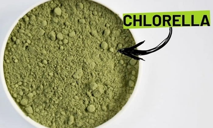 Khám phá về tảo Chlorella