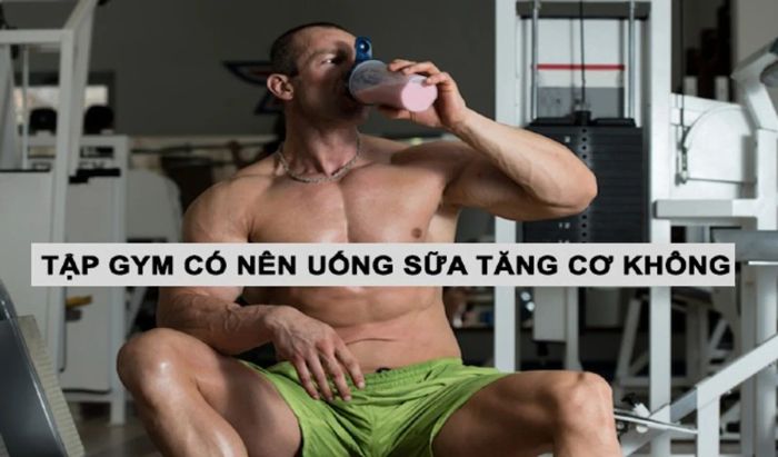 Ai đã dùng Whey Gold Standard On chưa? Nên mua không?