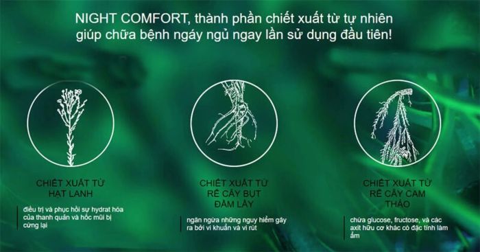 Thành Phần Night Comfort 100% Tự Nhiên