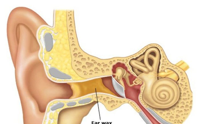 [MẸO] Bảo vệ thính giác bằng máy hút ráy tai từ Nhật Bản