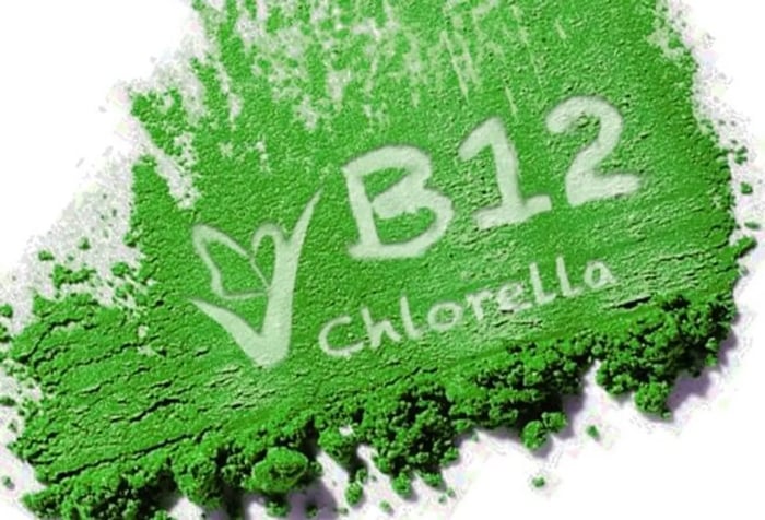 Tác dụng của tảo Chlorella