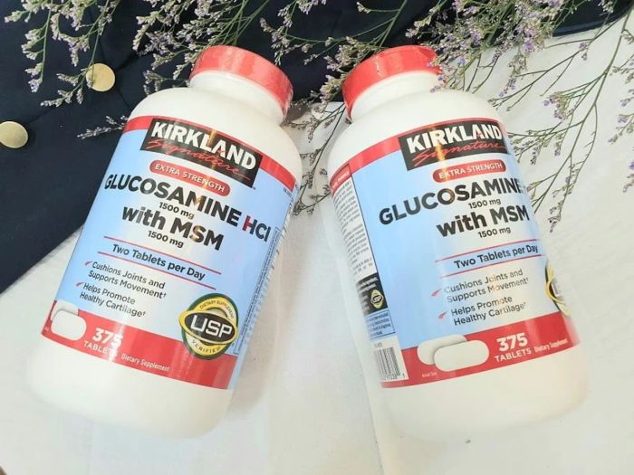 Glucosamine HCL 1500mg Kirkland with MSM 1500mg