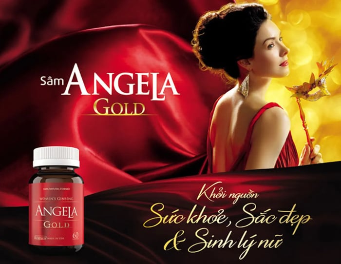 Sâm Angela Gold có tác dụng gì?