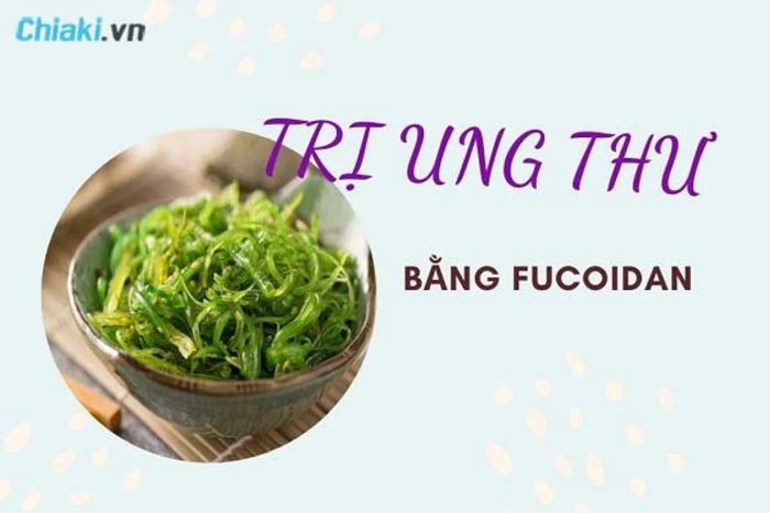 Fucoidan cản trở sự hình thành mạch máu mới để nuôi dưỡng khối u ung thư