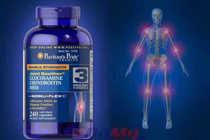 Viên uống Glucosamine MSM Puritan's Pride