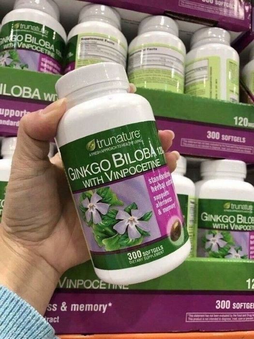 [Đánh giá] Ginkgo biloba 120mg - Giải pháp hiệu quả cho sự cải thiện trí nhớ